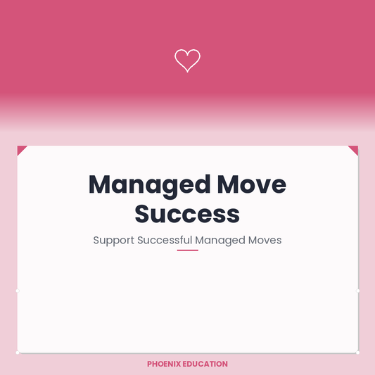 Managed Move Success - KS2-4 Pupils