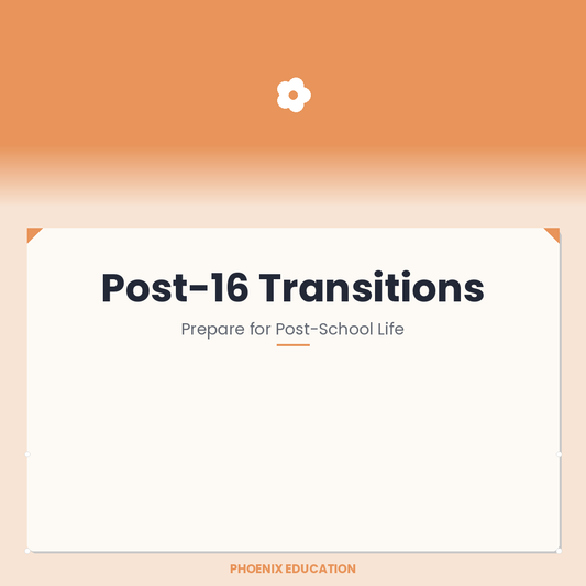 Post-16 Transitions - Y11+ Pupils